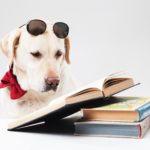 ワードプレスでブログ運営をする時の「行間」と「改行」のポイント