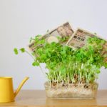 アフィリエイトのASPおすすめ８つを厳選紹介！【初心者必見】